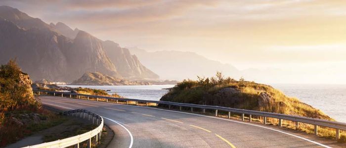 Parental Relocations