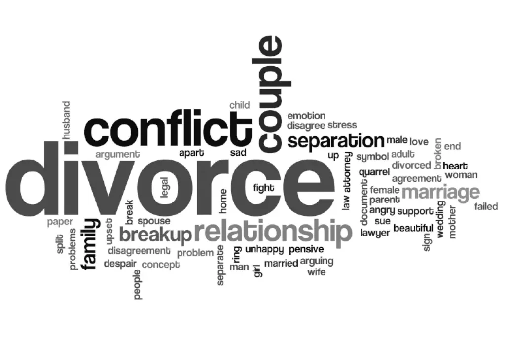 divorce trends 2026 word cloud